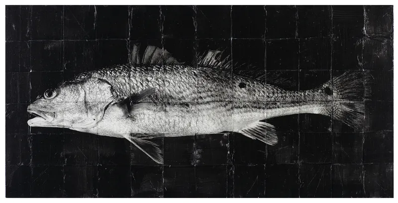 Redfish — original fine art by David Humphreys