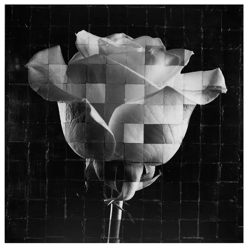 Vertical Rose — original fine art by David Humphreys