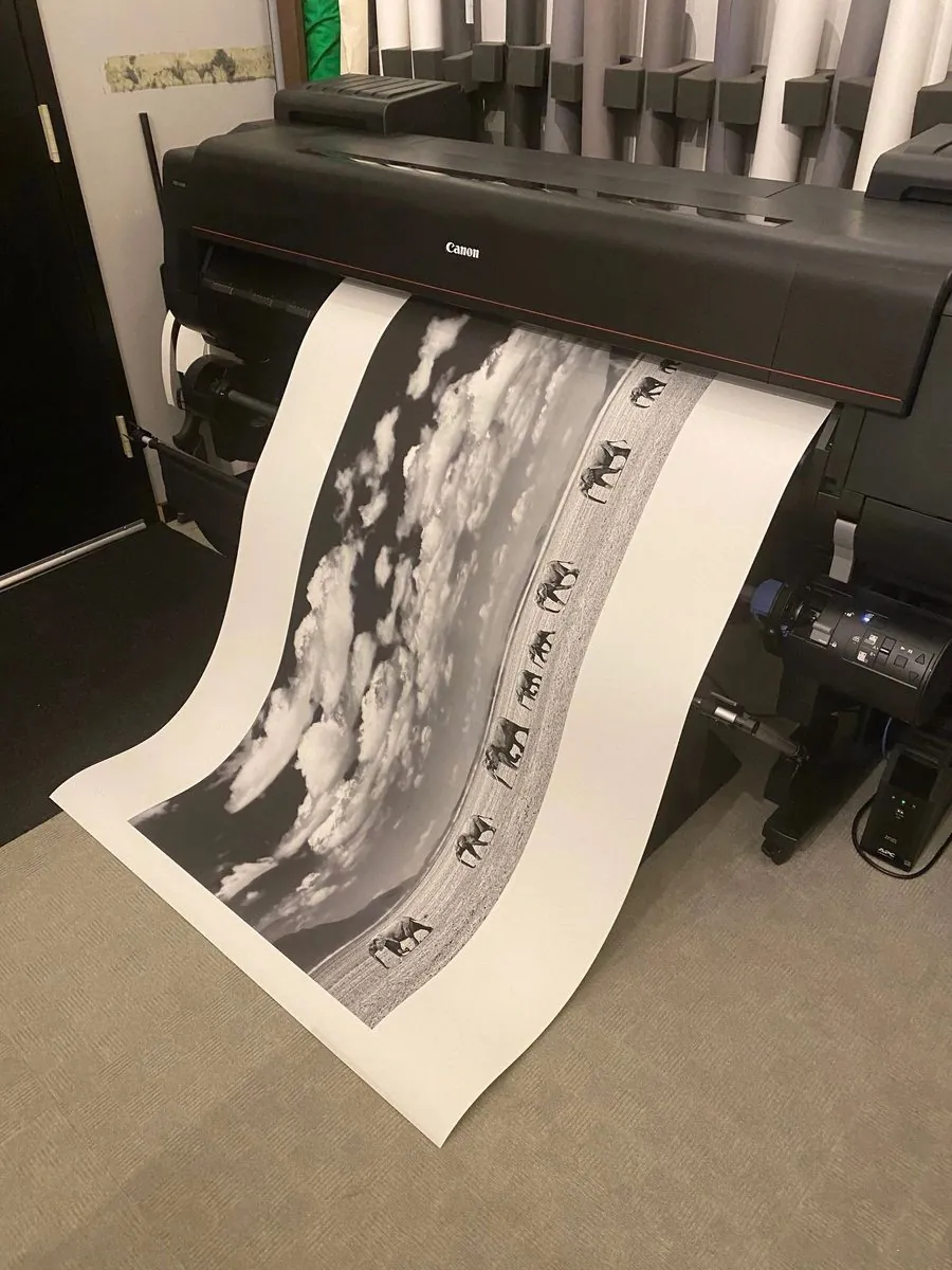 A large-format archival print coming off the printer in David Humphreys' studio